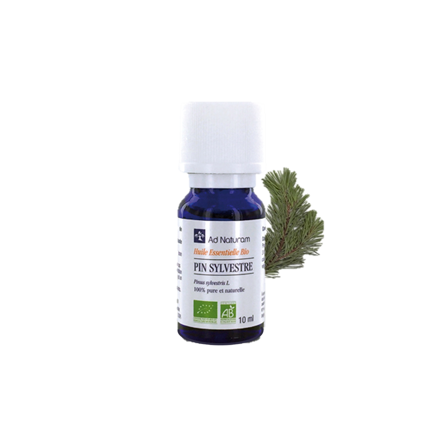 【消費期限:2025.10】パインスコッツ 10ml