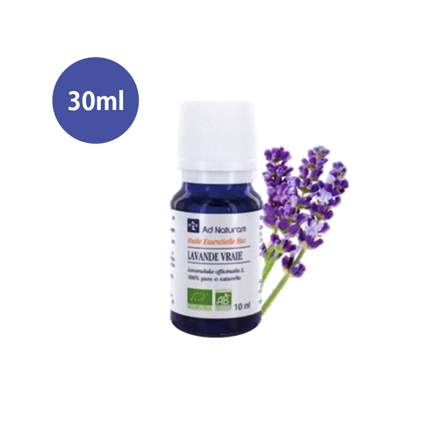 Lavender (official) 30ml