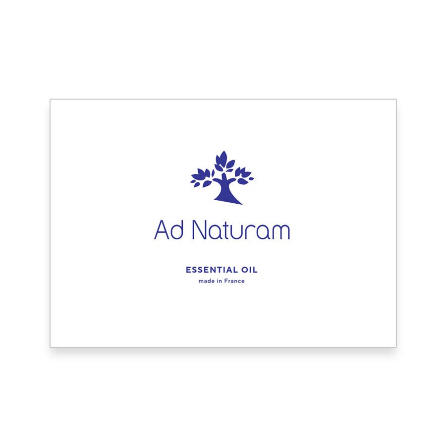 Ad Naturam カタログ 10枚セット - Olfact Lab.