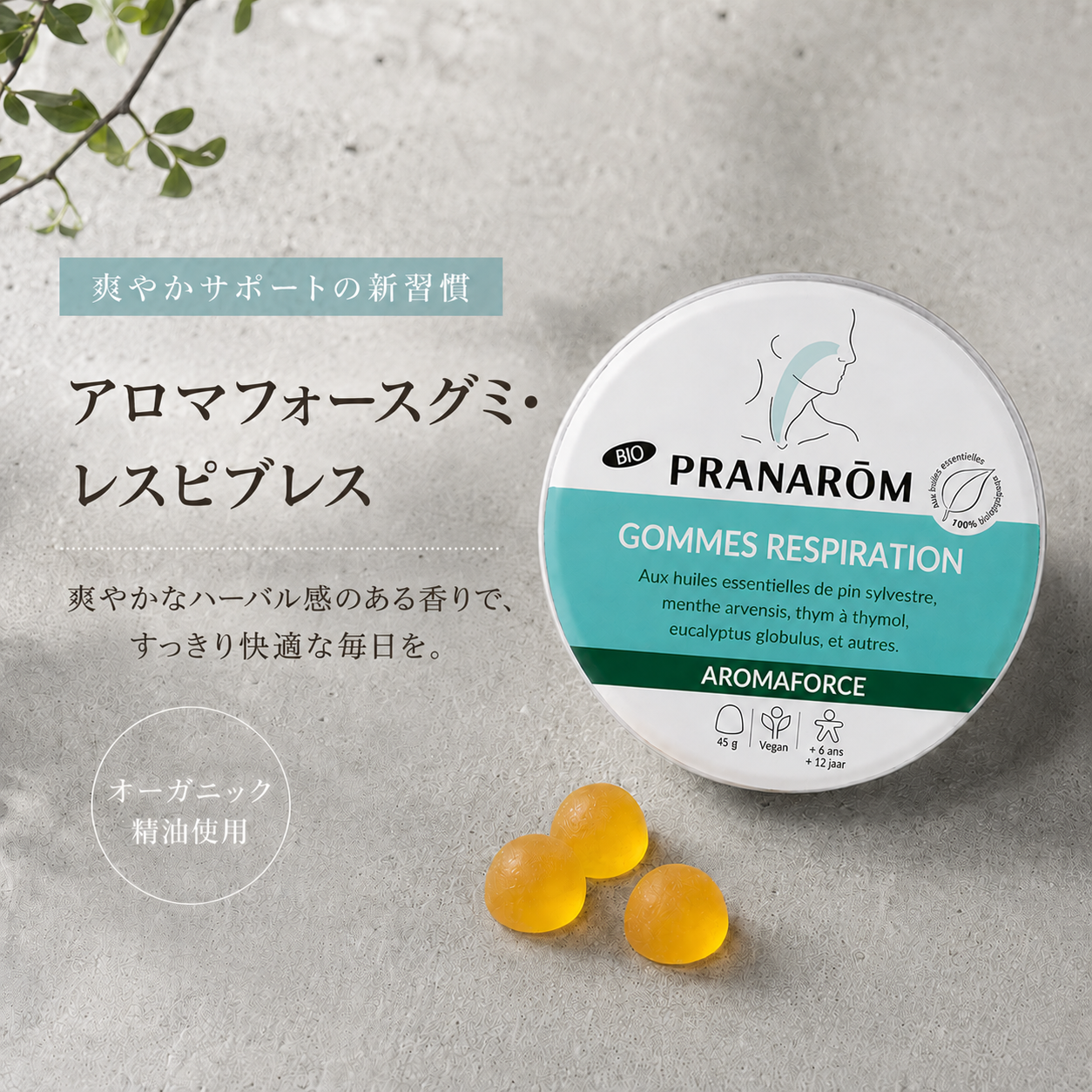 アロマフォースグミ・レスピブレス