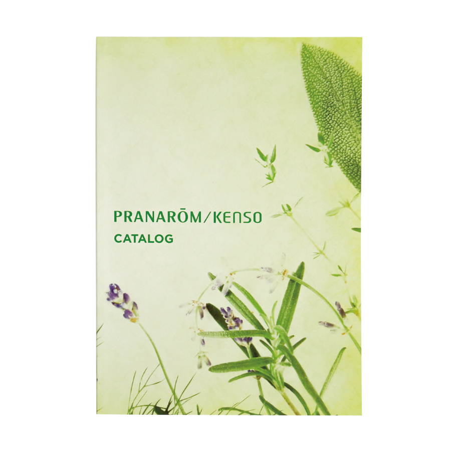 catalog