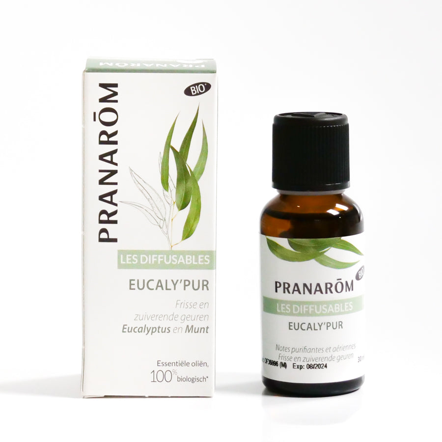 Eucalyptus Pure