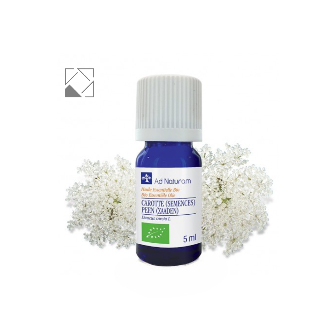 キャロットシード　5ml ワイルドキャロットシード 5ml – Olfact Lab.