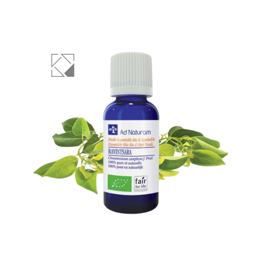 0205_agatha様 PRANAROM エレミ他 合計5点 精油 0205_agatha様 0205_agatha様 PRANAROM エレミ他 合計5点 精油 0205_agatha様