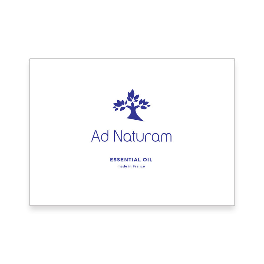 Ad Naturam カタログ　10枚セット
